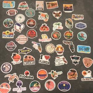 🌴(5) Florida Sticker Mystery Pack🌴